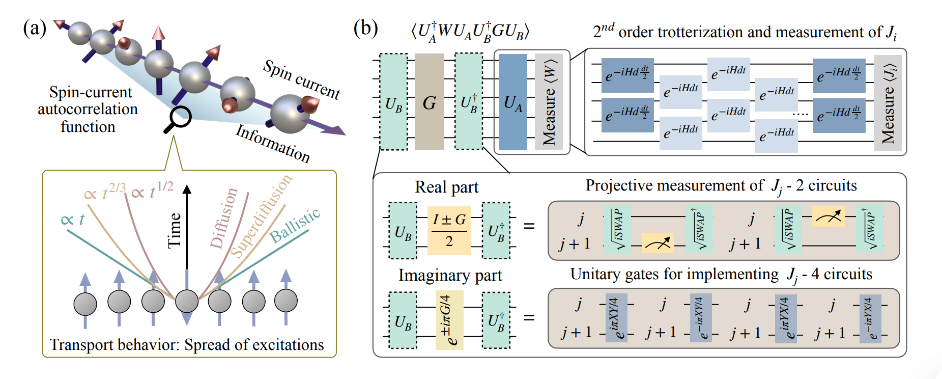 Quantum Science Center Researchers Demonstrate First Digital Quantum Simulation of Spin Transport