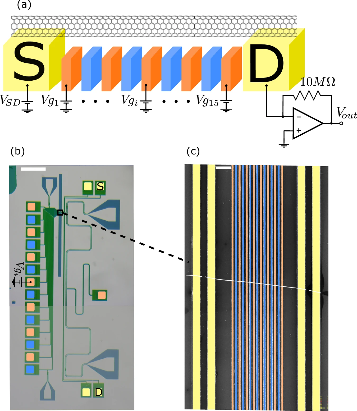 C12 Demonstrates Tunable Metal–Insulator Transition in Ultra-Clean Carbon Nanotubes