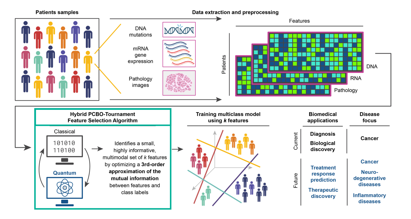 Infleqtion Achieves 12-Logical-Qubit Milestone for Q4Bio Biomarker Discovery